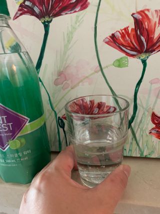 몽베스트 Montbest with Sparkling water Lime20병 — 5점을 준 리뷰어가 2021년 10월 올린 사용 사진