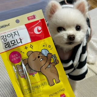[레모나] 강아지 레모나 강아직 영양 간식 4종 택 1 — 5점을 준 리뷰어가 2024년 1월 올린 사용 사진
