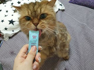 옹알이님이 올린 리뷰 사진 3