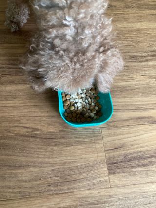 민트초코님이 올린 리뷰 사진 4