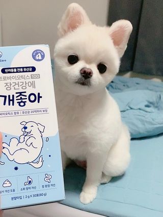 순덕아맘마먹자님이 올린 리뷰 사진 3