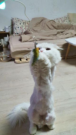 까칠한시연님님이 올린 리뷰 사진 1