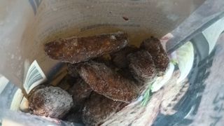 냠냠잉님이 올린 리뷰 사진 2