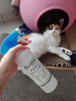 홍제이님이 올린 리뷰 사진 1