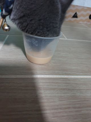 유영경님이 올린 리뷰 사진 4