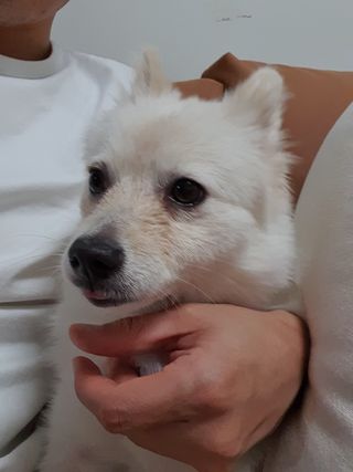 Hyoss님이 올린 리뷰 사진 4