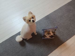 모르님이 올린 리뷰 사진 4