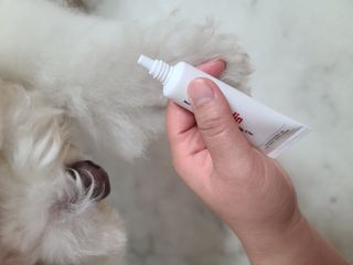 [자유펫] 시코니딘 고양이 강아지 피부 보습 연고 20g — 5점을 준 리뷰어가 2021년 10월 올린 사용 사진
