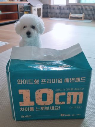 아베크 펫 와이드 프리미엄 대형 애견 강아지 배변 패드 30매 1팩 80g — 5점을 준 리뷰어가 2021년 7월 올린 사용 사진