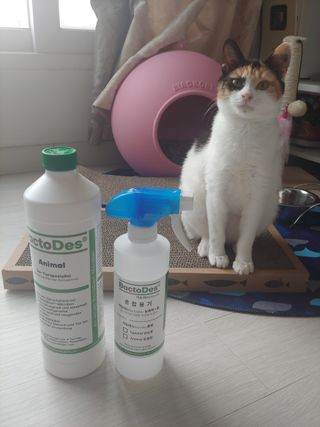 홍제이님이 올린 리뷰 사진 2