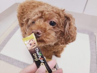 연이님이 올린 리뷰 사진 2