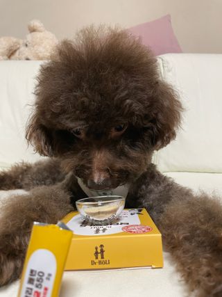 콩지님이 올린 리뷰 사진 3