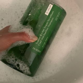 닥터시드 티트리 앤 라임 비건 지성케어 쿨 탈모 샴푸 (1000ml) — 5점을 준 리뷰어가 2024년 4월 올린 사용 사진