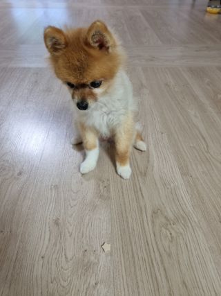 jiyoung_60님이 올린 리뷰 사진 3