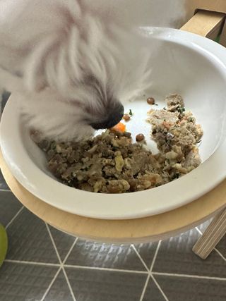 당근님이 올린 리뷰 사진 3
