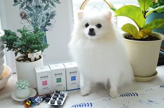 JAY님이 올린 리뷰 사진 1