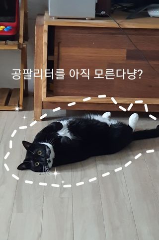 쩡이님이 올린 리뷰 사진 1