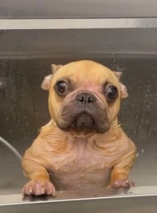 진시님이 올린 리뷰 사진 1