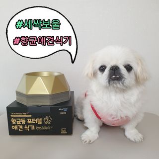 [세싹보울] 세균 싹~ 사라지는 셀앤핏 펫 항균동 애견식기 — 5점을 준 리뷰어가 2021년 6월 올린 사용 사진