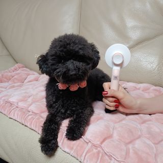 apple님이 올린 리뷰 사진 2