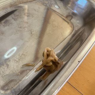 MoonHeeChoi님이 올린 리뷰 사진 3