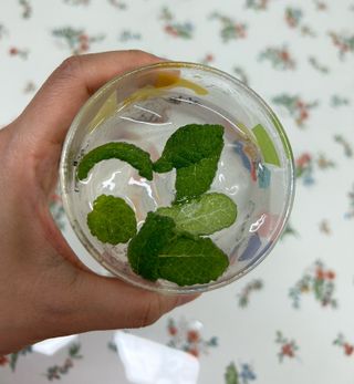 몽베스트 Montbest with Sparkling water 플레인/라임/레몬 20병(랜덤) — 5점을 준 리뷰어가 2024년 5월 올린 사용 사진