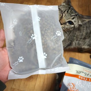 chk822님이 올린 리뷰 사진 2