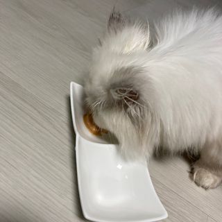 라맘님이 올린 리뷰 사진 4