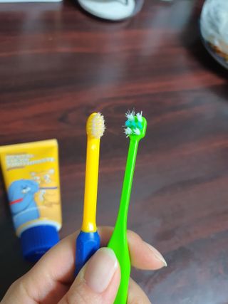 Pethroom 페스룸 PETHROOM DENTAL CARE SET 페스룸 덴탈 케어 세트 / 덴탈 클린 칫솔 + 덴탈 클린 치약 — 5점을 준 리뷰어가 2020년 12월 올린 사용 사진
