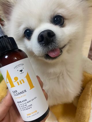 ey2님이 올린 리뷰 사진 1