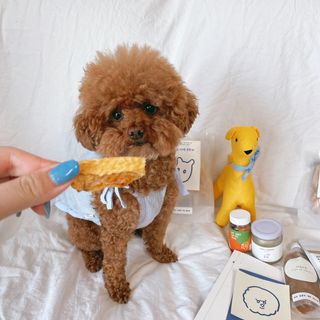 조이님이 올린 리뷰 사진 1