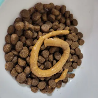 댑빵이님이 올린 리뷰 사진 2