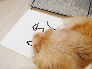 좋아님이 올린 리뷰 사진 4
