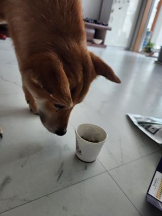 noname님이 올린 리뷰 사진 3