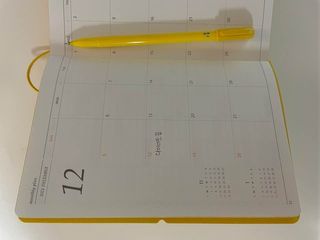 리훈 2022년 이야기 다이어리 그란데 1년형 — 5점을 준 리뷰어가 2021년 11월 올린 사용 사진