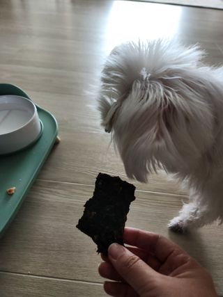 찌니님이 올린 리뷰 사진 3