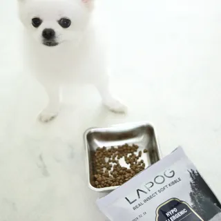 [푸디웜] 라포그 리얼인섹트 소프트키블 스킨 1KG — 5점을 준 리뷰어가 2022년 9월 올린 사용 사진