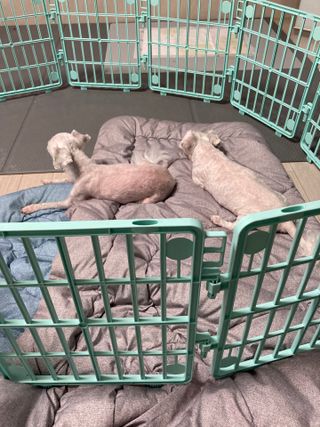럽티네버님이 올린 리뷰 사진 4