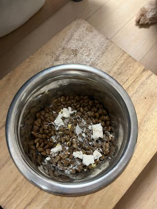[펫시밀] 원물그대로 영양듬뿍 동결건조 왕북어트릿300g,왕치킨트릿400g,열빙어트릿300g 대용량 간식 — 5점을 준 리뷰어가 2023년 5월 올린 사용 사진