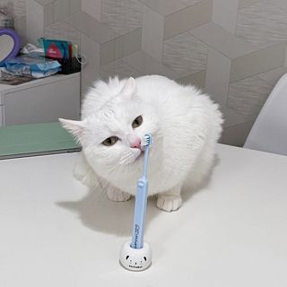 ㄹ진님이 올린 리뷰 사진 1