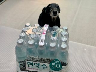 콩이누나님이 올린 리뷰 사진 4