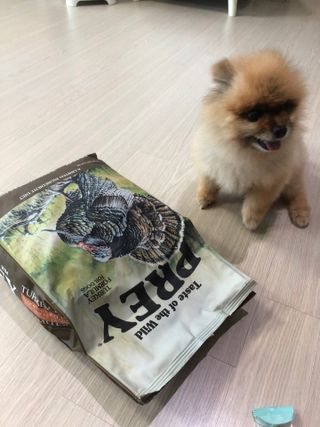 쭈야님이 올린 리뷰 사진 3