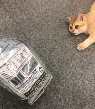 고고고님이 올린 리뷰 사진 3