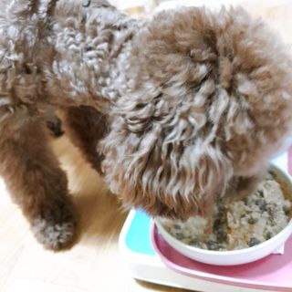 벼리님이 올린 리뷰 사진 4
