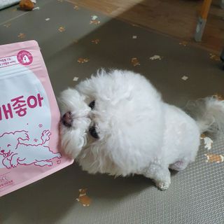 My Pet Care 천연단백질 관절건강에 개좋아 — 5점을 준 리뷰어가 2021년 2월 올린 사용 사진
