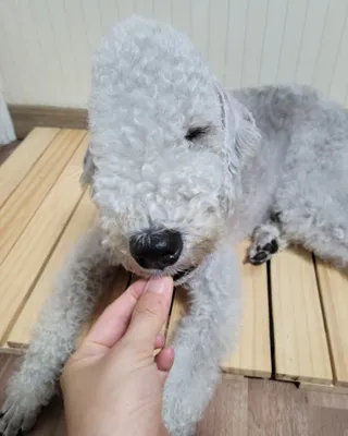 lemoniee님이 올린 리뷰 사진 2