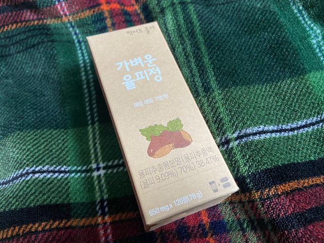 가벼운 율피정 리뷰 사진