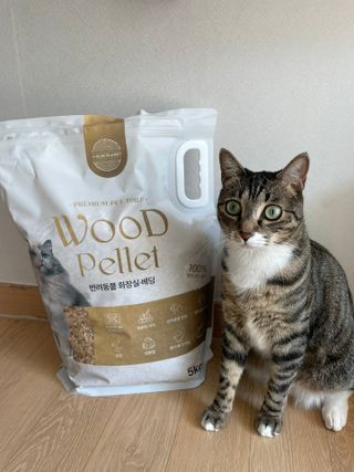 버진플래닛코리아 버진플래닛 고양이 화장실 우드 펠렛 모래 배변 펠릿 — 5점을 준 리뷰어가 2023년 3월 올린 사용 사진