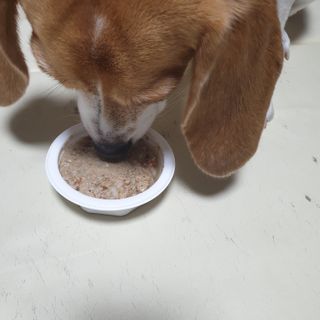 beaglelove님이 올린 리뷰 사진 3