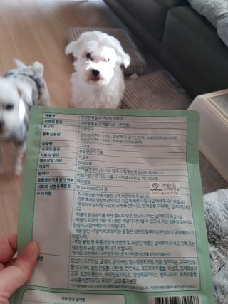 My Pet Care 천연단백질 눈건강에 개좋아 — 5점을 준 리뷰어가 2020년 12월 올린 사용 사진